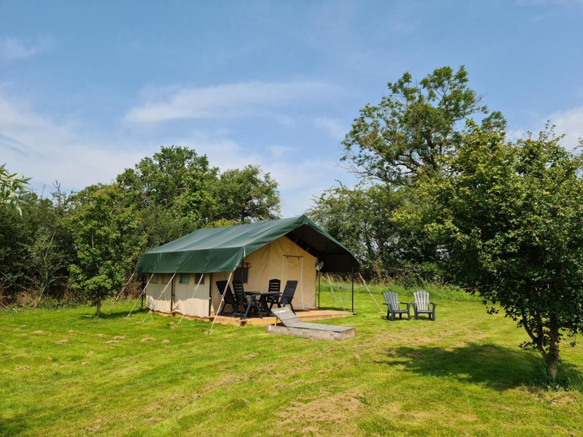 Le Petit Moulin Bed & Breakfast Saint-Hilaire  Eksteriør bilde